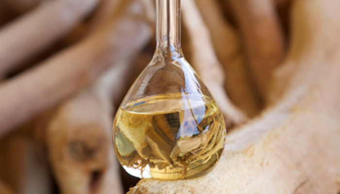 恒雄香料新品发布：100%纯天然澳洲檀香精油耀世而来 (图1)