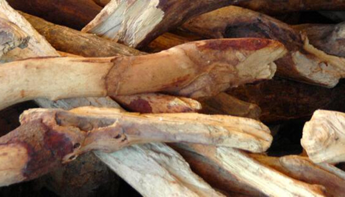 恒雄香料新品发布：100%纯天然澳洲檀香精油耀世而来 (图5)